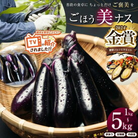 【ふるさと納税】なす 野菜 定期便 も選べる ごほう美ナス 送料無料 | 茄子 ナス ふるさと納税 なす ふるさと納税 ナス ふるさと納税 茄子 金賞受賞 TV紹介 朝採れ 産地直送 新鮮 完熟 大容量 1kg 2kg 3kg 5kg おかず ご褒美 なすび 旬 果物 ギフト 栃木県 真岡市 送料無料