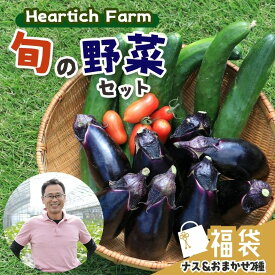 【ふるさと納税】福袋 2026年 旬の 野菜 セット ( ナス ＆ おまかせ2種 ) Heartich Farm ｜ 野菜 ナス 茄子 セット 特産品 栃木県 真岡市 送料無料 なす なすび