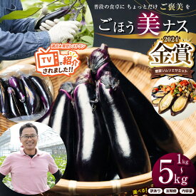【ふるさと納税】野菜ソムリエサミット金賞「ごほう美ナス」 選べる 内容量 定期便 約1~5kg ｜ 野菜 ナス 茄子 夏秋ナス 長ナス 特産品 なす なすび 野菜 定期便 単品 金賞 受賞 訳あり 訳アリ 選べる ご褒美 栃木県 真岡市 送料無料（クラウドファンディング対象）