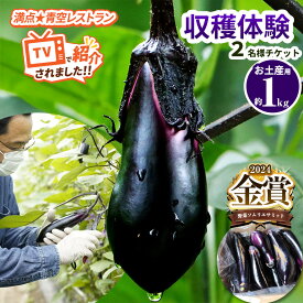 【ふるさと納税】ナスの収穫体験チケット2名様｜ 野菜 ナス 茄子 夏秋ナス 長ナス なす なすび 夏 秋 夏休み 国産 野菜収穫 体験 特産品 栃木県 真岡市 送料無料