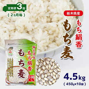 yӂ邳Ɣ[Łz 3 2 Ȗ،Y  (450g×10) 4.5kg | Ȗ، ^s    _CGbg H@  l  N  h{
