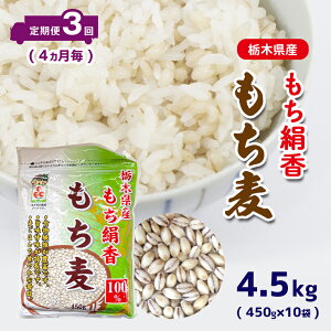 yӂ邳Ɣ[Łz   3 (4) Ȗ،Y  (450g×10)  | Ȗ، ^s    _CGbg H@  l  N  h{