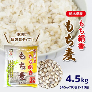 yӂ邳Ɣ[Łz  (45g×10) × 10  g₷ ֗ X[p[t[h Ȗ، ^s