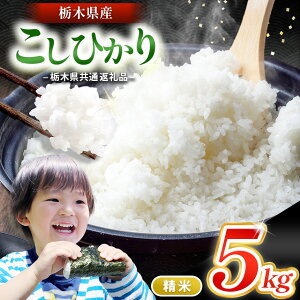 yӂ邳Ɣ[Łz Ȗ،Y Ђ V  5kg b    ͂  RVqJ  V ӂ ɂ ނ     ٓ 5k
