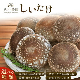 【ふるさと納税】しいたけ 生椎茸 生しいたけ詰め合わせ ステーキ 乾燥 訳あり 【選べる種類】| 定期便 椎茸 生しいたけ 乾燥しいたけ 干し椎茸 干ししいたけ シイタケ 詰め合わせ きのこ キノコ 野菜 秋の味覚 旬野菜 送料無料 栃木県 真岡市