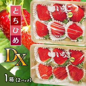 yӂ邳Ɣ[Łz ys\zƂЂ DX 1(2pbN) qԌr12`2b  C`S Xgx[ pbN I  Â _ Yi ^s   | 