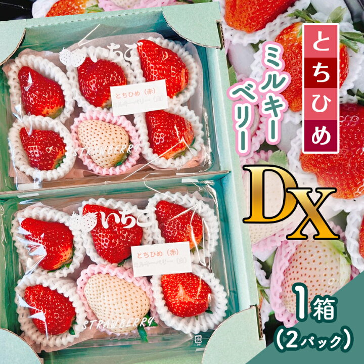 楽天市場】【ふるさと納税】とちひめ・ミルキーベリー DX 1箱(2パック  