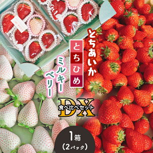 yӂ邳Ɣ[ŁzƂEƂЂ߁E~L[x[Hה׃Zbg DX |  Ȗ strawberry 2026 s\ 12 1 2 lC ] r[ er    Ƃ ƂЂ