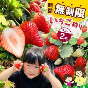 yӂ邳Ɣ[Łzǔ`Pbgvl2b  Xgx[ W[ ό f[g o ̌ Ԗ Hו ƂƂ ƂЂ Â ~  ^