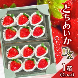 【ふるさと納税】 【先行予約】とちあいか DX 1箱(2パック) 〈期間限定〉12月～2月｜苺 いちご イチゴ ストロベリー パック 厳選 手作り 手づくり 農家 特産品 真岡市 美味しい おいしい 旨い 美味い うまい 人気 旬 新鮮 フレッシュ ジューシー 甘い あまい 栃木県 送料無料