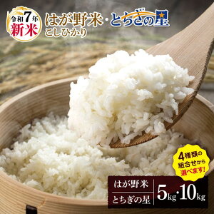 【ふるさと納税】お米 こしひかり とちぎの星 選べる 新米 白米 5kg 10kg | 2025年 令和7年 JAはが野がお届け 真岡産 コシヒカリ 白米 おにぎり シャリ 精米 おこめ 米 ご飯 ごはん ライス コメ