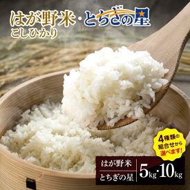 【ふるさと納税】お米 こしひかり とちぎの星 選べる 白米 5kg 10kg ｜ 2025年 令和7年 JAはが野がお届け 真岡産 コシヒカリ 白米 おにぎり シャリ 精米 おこめ 米 ご飯 ごはん ライス コメ 真岡市 栃木県 送料無料