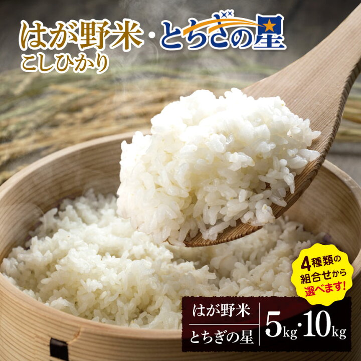 楽天市場】【ふるさと納税】お米 こしひかり とちぎの星 選べる 白米 