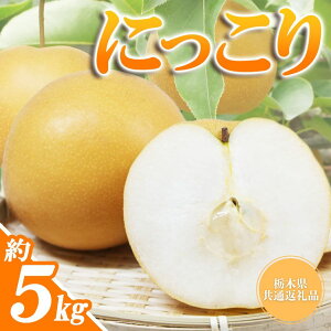 yӂ邳Ɣ[ŁzȖ،Y Ȃ  ɂ 5kg yV |  ʕ  t[c  Ȃ v[g J Â  iV Ȗ، ^s  Ȗ،ʕԗi