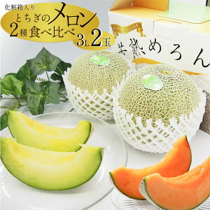 yӂ邳Ɣ[ŁzyVy2026N s\z JA͂ IIƂ  ߂ NCV[ LOX ^J~ 3 Hה ԓ 3L 2 ϔ W[V[ ʏ` Â fU[g v