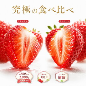 【ふるさと納税】★2027年1月～発送★【先行予約】いちご 食べ比べ セット とちおとめ とちあいか ｜ いちご とちおとめ とちあいかフルーツ 果物 苺 イチゴ 完熟 産地直送 大粒 ブランド デザート お取り寄せ ギフト プレゼント 贈り物 詰め合わせ 栃木県 真岡市 送料無料