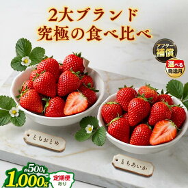 【ふるさと納税】【先行予約】いちご 食べ比べ セット とちおとめ とちあいか ｜ フルーツ 果物 苺 イチゴ 完熟 産地直送 高糖度 大粒 ブランド 新鮮 デザート お取り寄せ ギフト プレゼント 贈り物 冬の味覚 詰め合わせ 栃木県 真岡市 送料無料