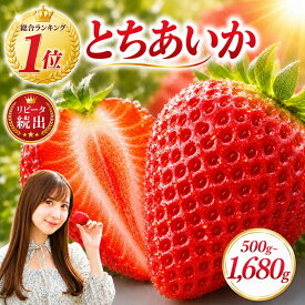 【ふるさと納税】★2027/1～発送★ いちご とちあいか 大容量 発送月が選べる 【先行予約】 フルーツ 果物 苺 イチゴ 送料無料 | 苺 イチゴ 国産 数量限定 ブランド ふるさと納税 フルーツ ふるさと納税 果物 ふるさと納税 くだもの 栃木県 真岡市
