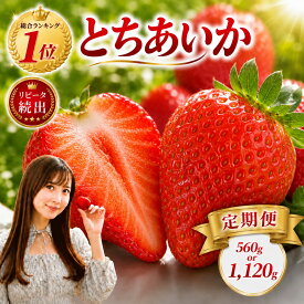 【ふるさと納税】いちご 定期便 楽天ランキング1位 2回 3回 選べる とちあいか 【先行予約】[選べる回数・時期] | いちご 定期便 イチゴ 完熟 高糖度 大粒 ブランド苺 フルーツ 果物 訳あり 人気 旬 生産量日本一 栃木県 真岡市 送料無料