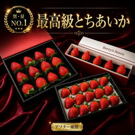 【ふるさと納税】いちご とちあいか 高級いちご 贈答用 高級イチゴ 定期便 あり 送料無料 | 先行予約 選べる発送月 1回〜4回 苺 イチゴ 大粒 特大 プレミアム フルーツ 果物 ギフト 贈り物 プレゼント 栃木県 真岡市
