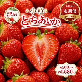 【ふるさと納税】小粒 とちあいか いちご 定期便 先行予約 | フルーツ 果物 贈り物 栃木県 真岡市 送料無料