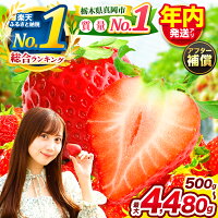 【ふるさと納税】 12月お届け 年内分 いちご | とちあいか 全国 1位...