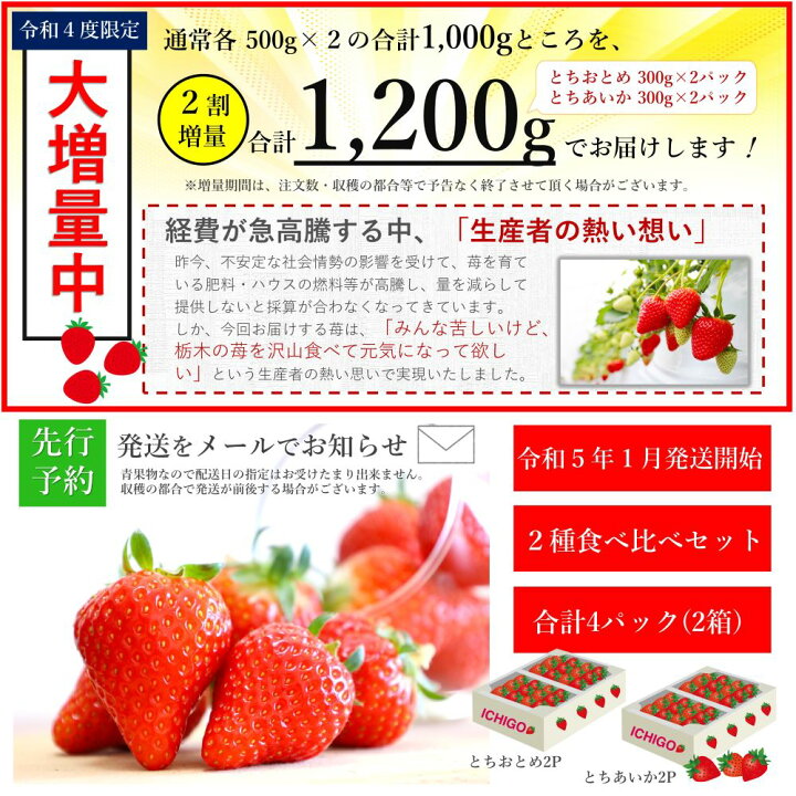 楽天市場】【ふるさと納税】増量中 1.0 → 1.2kg 朝摘みいちご 農林水産大臣賞受賞農家 人気2品種 食べ比べ とちおとめ ・ とちあいか セット 2023年1月発送開始 先行予約 栃木県産 いちご日本一 苺 イチゴ : 栃木県真岡市 楽天市場】【ふるさと納税】増量中 1.0 → 1.2kg 朝摘みいちご 農林水産大臣賞受賞農家 人気2品種 食べ比べ とちおとめ ・ とちあいか セット 2023年1月発送開始 先行予約 栃木県産 いちご日本一 苺 イチゴ : 栃木県真岡市