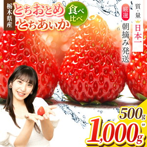 yӂ邳Ɣ[ŁzyV  Ƃ ƂƂ 󂠂 lC Hה Zbg Iׂ 500g or 1000g y2026N s\zb 1 2 3 _ѐYb ܔ_ 2i Ȗ،Y ^