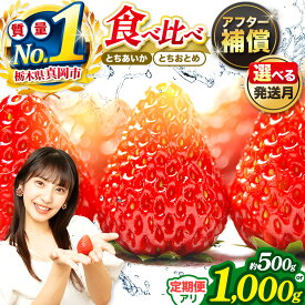 【ふるさと納税】いちご とちあいか とちおとめ 定期便 人気 食べ比べ セット 選べる 500g or 1000g 【2026年 先行予約】1回 2回｜ 1月 2月 3月 農林水産大臣賞 受賞農家 2品種 栃木県産 真岡市 日本一 苺 イチゴ スイーツ ジャム アレンジ 産地直送 直送