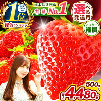 【ふるさと納税】 最旬 苺 1月～3月発送 受付中 とちあいか いちご ご...