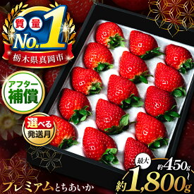 【ふるさと納税】いちご 数量限定 贈答用 プレミアム とちあいか ギフトボックス｜楽天限定 選べる 発送月 回数 定期便 2回 3回 4回 450g 500g｜大粒 高級 プレゼント 贈り物 お取り寄せ 人気 高評価 高レビュー 栃木県 真岡市 人気