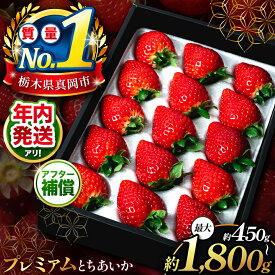 【ふるさと納税】いちご 数量限定 贈答用 プレミアム とちあいか 年内発送 ギフトボックス｜楽天限定 選べる 発送月 年内 発送 回数 定期便 2回 3回 4回 450g 500g｜大粒 高級 プレゼント 贈り物 お取り寄せ 人気 高評価 高レビュー 栃木県 真岡市 人気