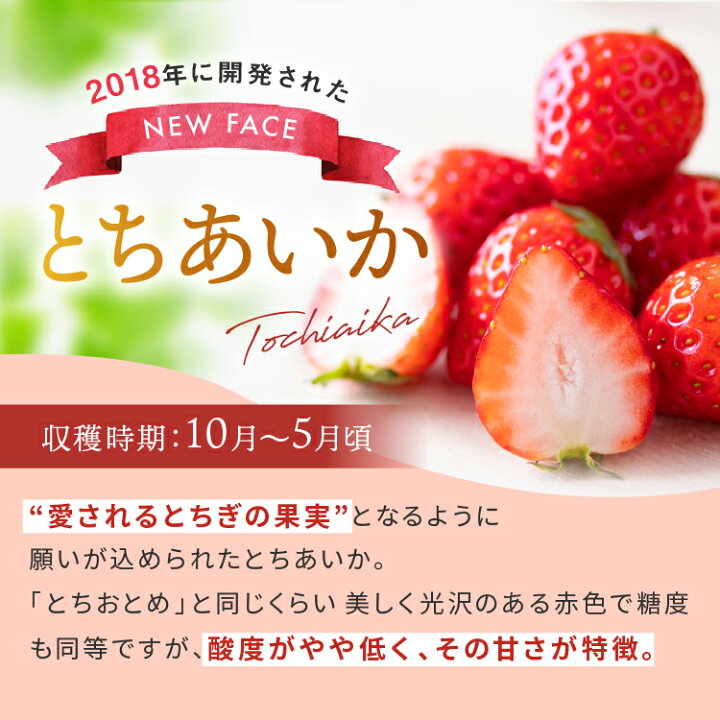 楽天市場】【ふるさと納税】増量中 1.0 → 1.2kg 朝摘みいちご 農林水産大臣賞受賞農家 人気2品種 食べ比べ とちおとめ ・ とちあいか セット 2023年1月発送開始 先行予約 栃木県産 いちご日本一 苺 イチゴ : 栃木県真岡市 楽天市場】【ふるさと納税】増量中 1.0 → 1.2kg 朝摘みいちご 農林水産大臣賞受賞農家 人気2品種 食べ比べ とちおとめ ・ とちあいか セット 2023年1月発送開始 先行予約 栃木県産 いちご日本一 苺 イチゴ : 栃木県真岡市