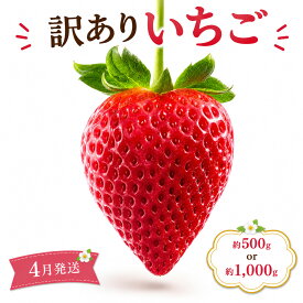 【ふるさと納税】訳あり とちあいか サイズ おまかせ いちご 先行予約 4月 発送 | フルーツ 果物 贈り物 栃木県 真岡市 送料無料