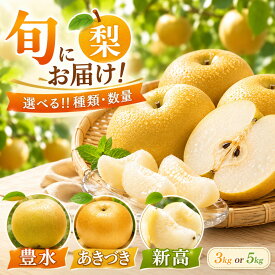 【ふるさと納税】梨 なし 選べる品種 豊水 新高 3kg 5kg 送料無料 | ふるさと納税梨 ふるさと納税 梨 ふるさと納税 なし ふるさと納税梨豊水 果物 フルーツ 旬 産地直送 高糖度 大玉 完熟 特産品 デザート お取り寄せ ギフト 栃木県 真岡市