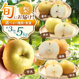 【ふるさと納税】【2026年先行予約】 真岡市産 梨 なし 選べる 品種 kg数 幸水 豊水 秋月 新高 甘太 | 果物 くだもの フルーツ 梨 なし プレゼント ご褒美 甘い 贈答 秋 大きい 送料無料