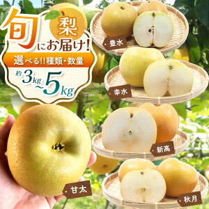 yӂ邳Ɣ[Łzy2026Ns\z ^sY  Ȃ Iׂ i kg K L H V Ñ | ʕ  t[c  Ȃ v[g J Â  H 傫 