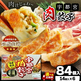 【ふるさと納税】宇都宮餃子 定期便 も選べる 冷蔵 マルシンフーズ 生餃子 送料無料 | ぎょうざ ギョーザ ギョウザ チルド 焼くだけ 時短 肉 野菜 しそ 点心 中華 惣菜 おかず おつまみ 晩酌 ビール お弁当 大容量 数量限定 栃木県 真岡市
