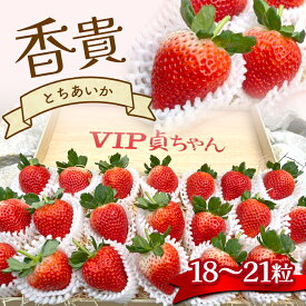 【ふるさと納税】とちあいか 香貴 18 ～ 21粒 高級 高価 贅沢 ぜいたく 大きい ここだけ ＜ 発送期間 ： 1月 上旬 ～ 3月 下旬 ＞ | いちご 苺 イチゴ ストロベリー フルーツ 果物 名産品 栃木県 真岡市 希少品種 数量限定 期間限定 あまい 甘い