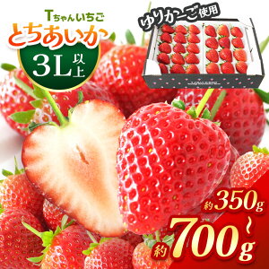 yӂ邳Ɣ[ŁzƂ 3Lȏz[l 󂠂 350g 700g Iׂ  3 ԁF1{`3{ or 4ȍ~ b   C`S Xgx[ t[c Â ܂ lC 