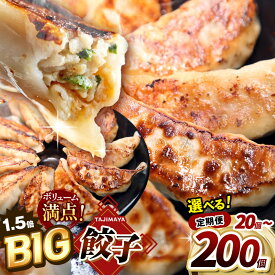 【ふるさと納税】楽天限定 定期便 年内発送 たじまや オリジナル ビッグ 餃子 ぎょうざ | TAJIMAYA 田島 タジマヤ 大きい BIG 売れ筋 人気 好評 リピート 旨味 もっちり ジューシーお肉 冷凍食品 中華 栃木県 真岡市 送料無料（クラウドファンディング事業）