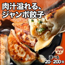 【ふるさと納税】＼最短翌日配送／ 餃子 冷凍餃子 宇都宮餃子 ジャンボ餃子 大きい 選べる20個～200個 定期便 ｜ ふるさと納税 餃子 ランキング ぎょうざ ギョーザ 冷凍餃子 惣菜 おかず おつまみ 国産 豚肉 野菜 点心 中華 宇都宮餃子 栃木県 真岡市 送料無料