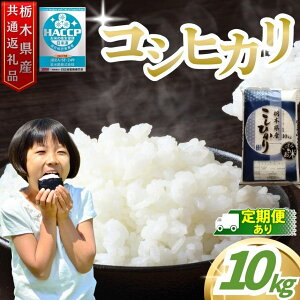 �y�ӂ邳�Ɣ[�Łz���� �A�h�o�C�U�[ �� �q�����I�I �Ȗ،��Y�R�V�q�J�� 10kg �I�ׂ� �� | �R�V�q�J�� �����Ђ��� ���� �� �^���Y �Ȗ،��Y ���� 10kg �^���s �Ȗ،� �������� ���ɂ��� ���ނ�