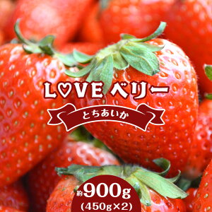 【ふるさと納税】【2026年先行予約】 LOVE ベリー とちあいか いちご 900g (450g × 2) | 1月 2月 3月 発送 苺 イチゴ ストロベリー 大きい 大粒 特大 旬 高級 産地直送 新鮮 果汁 甘い あまい 大容量