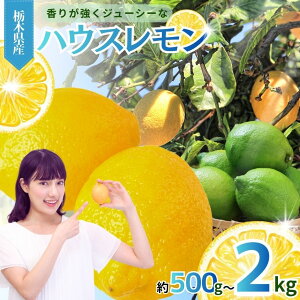 yӂ邳Ɣ[Łz^sY nEX  Iׂ kgb2kg 1kg 500g  O[ _   CG[ x  ʏ` m[bNX h hJr sgp 炲 Y ^s Ȗ، 