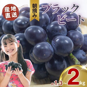 yӂ邳Ɣ[ŁzԂǂ ubNr[g 1.3kg 2kg Ԃǂ | Eݒ uhE  t[c Â lC   XC[c Â J Y ^s Ȗ،  