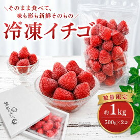 【ふるさと納税】冷凍いちご 1kg 完熟 とちあいか ｜ 限定100個 冷凍フルーツ いちご 苺 イチゴ スムージー デザート ヨーグルト トッピング 国産 栃木県 真岡市 加工品 お取り寄せ 詰め合わせ まとめ買い 送料無料 冷凍食品