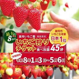 【ふるさと納税】いちご狩り 体験チケット お1人様 大人 (小学歳以上) | いちご 苺 イチゴ ストロベリー 8品種 食べ放題 45分 高設 新鮮 子供 お出かけ 美味しい おいしい 果汁 甘い あまい 酸味 フォトジェニック 映え | 人気 栃木県 真岡市 旬 送料無料