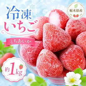 【ふるさと納税】冷凍いちご 1kg 完熟 とちあいか ｜ 冷凍フルーツ 冷凍イチゴ 苺 デザート スイーツ トッピング スムージー ヨーグルト 国産 栃木県 真岡市 加工品 お取り寄せ グルメ まとめ買い 高糖度 酸味控えめ 冷凍食品 送料無料