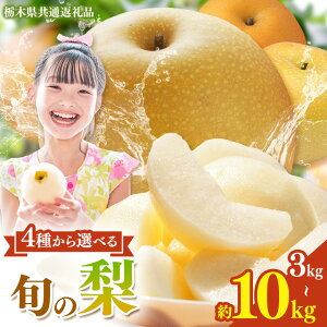 yӂ邳Ɣ[ŁzȖ،Y  Iׂ K L H ɂy2026Ns\z| 3kg 5kg 10kg  ق Â Ȃ iV n ʕ t[c v[g J   